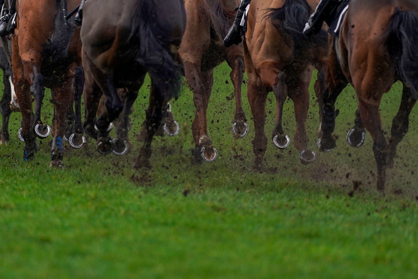 Horse racing
